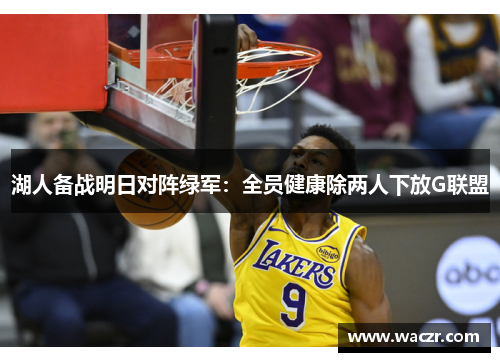 湖人备战明日对阵绿军：全员健康除两人下放G联盟